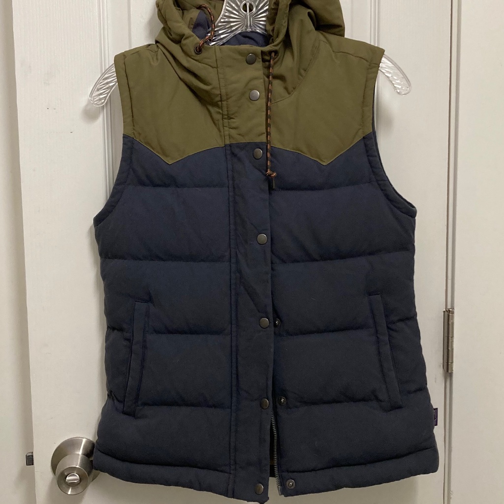 Patagonia Womens Bivy Vest